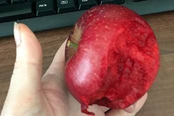 Необычное яблоко ввело в ступор пользователей соцсетей