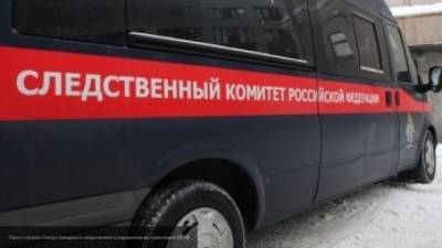 Следком возбудил дело после исчезновения московской школьницы