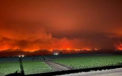 Лесные пожары в Калифорнии: огонь приближается к пригороду Лос-Анджелеса