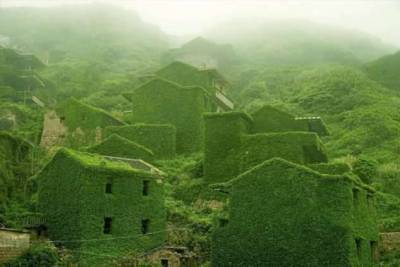 Китайскую деревню покинули люди, и уже через несколько лет ее почти полностью поглотила природа (10 фото)