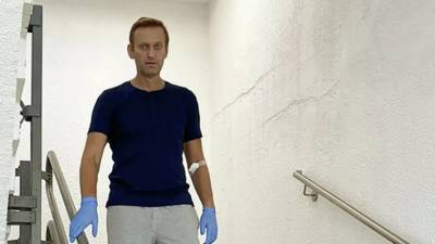 Франция получила запрос от России по ситуации с Навальным