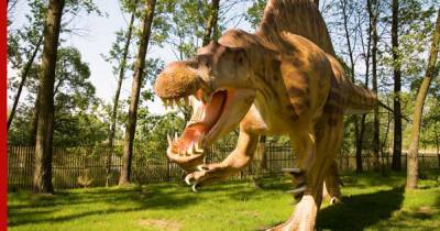Ученые раскрыли тайну гигантского хищного динозавра