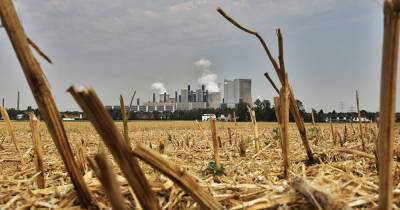 Ученые описали сценарий опустошительной засухи на Земле