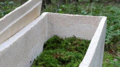 Забота об экологии или способ нажиться? «Живые гробы» из грибов создали в Нидерландах
