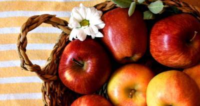 Что происходит с организмом, когда мы едим яблоки?