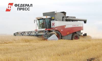 В Красноярском крае собрали больше 2 млн тонн зерна