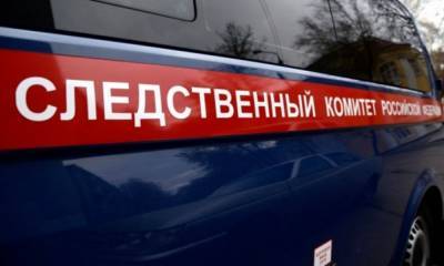 «В нашей трагедии прошу винить коррупционеров» В Москве сын убил мать и покончил с собой