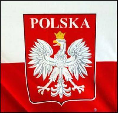 В Польше возмущены действиями неонацистов в Германии и на Украине