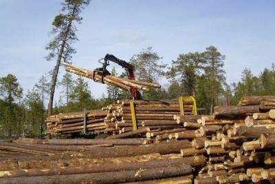 В Костромской области ввели новые меры поддержки лесозаготовителей