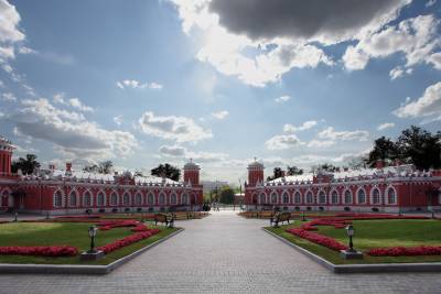 Московскую аллею начали благоустраивать в Петровском парке