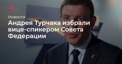 Андрея Турчака избрали вице-спикером Совета Федерации