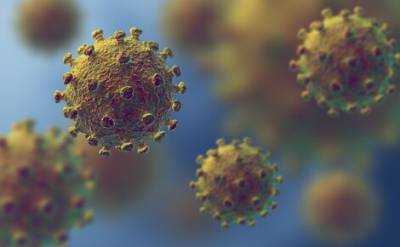 В России выявлен 6 431 новый случай коронавируса