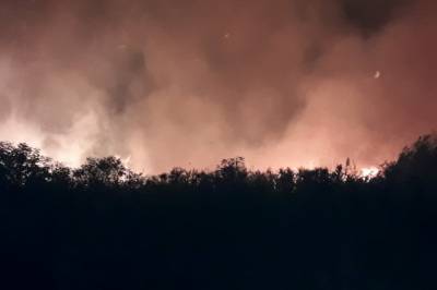В Херсонской области загорелись Днепровские плавни