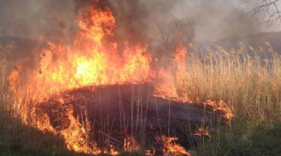 Почти по всей Украине объявили чрезвычайную пожароопасность