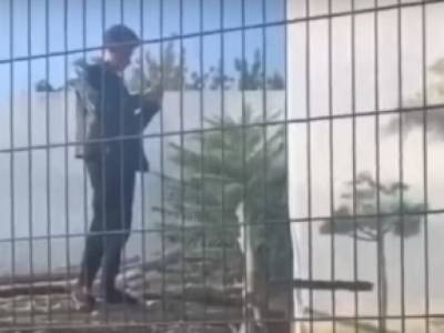 Полицейским пришлось применять силу: в Одессе нетрезвый мужчина залез в вольер со львами
