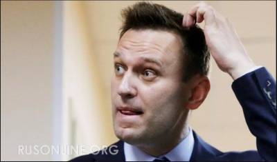 Неожиданно: Украинская журналистка мастерски разоблачила «дело об отравлении Навального»