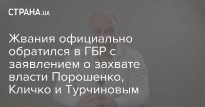 Жвания официально обратился в ГБР с заявлением о захвате власти Порошенко, Кличко и Турчиновым