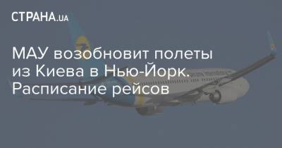 МАУ возобновит полеты из Киева в Нью-Йорк. Расписание рейсов