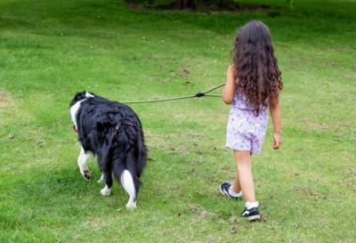 В Липецке дети до 14 лет не могут выгуливать собак без сопровождения взрослых