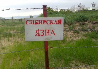 В Казахстане два человека заразились сибирской язвой