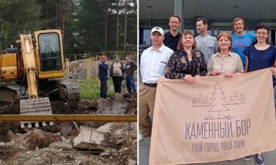 Мэрия Петрозаводска не согласна, что рубка леса в Каменном бору незаконна: чиновники подают в суд