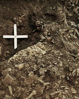 Ученые подобрались к загадке гибели Трипольской цивилизации