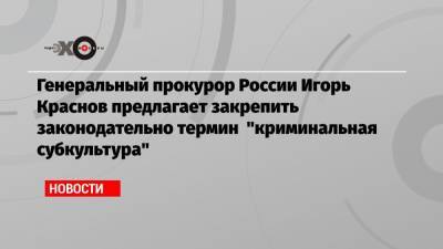 Генеральный прокурор России Игорь Краснов предлагает закрепить законодательно термин «криминальная субкультура»