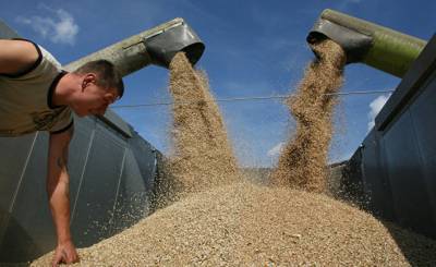 Bloomberg (США): господство России на мировом рынке пшеницы продолжает расти