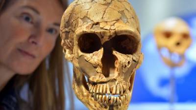 Зараженные предки: от каких инфекций страдали и умирали древние люди?