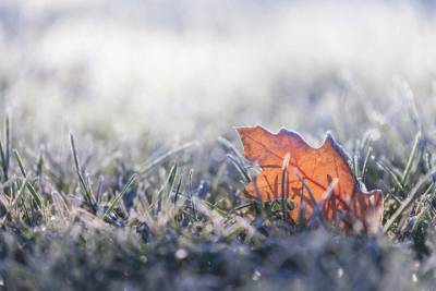 Жителей Чувашии предупредили о заморозках на почве