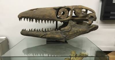 Древняя гигантская рептилия получила название «Пасть смерти»