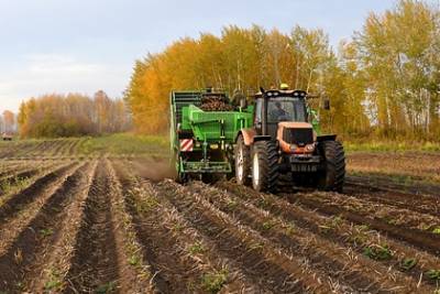 Российский регион увеличил экспорт сельхозпродукции с начала года
