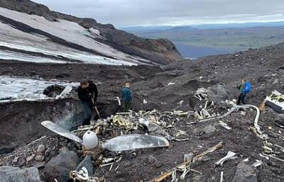 В Исландии обнаружили самолет, который врезался в ледник 76 лет назад