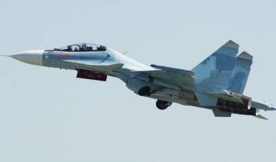 СМИ назвали причиной катастрофы Су-30 в Тверской области случайный обстрел