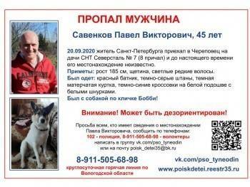 Петербуржца с собакой, пропавшего на череповецких дачах, стали искать 4 дня спустя