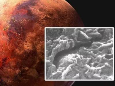 В марсианском метеорите обнаружили «червей»