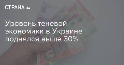 Уровень теневой экономики в Украине поднялся выше 30%