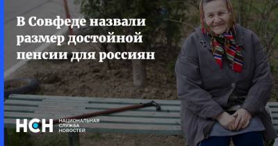В Совфеде назвали размер достойной пенсии для россиян