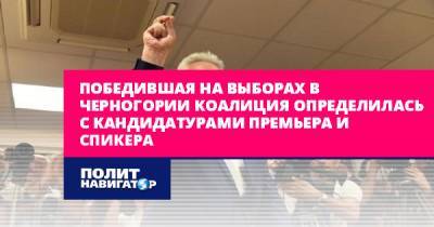 Победившая на выборах в Черногории коалиция определилась с...
