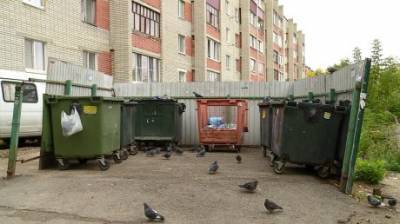 Порядок на мусорной площадке на Карпинского быстро исчезает