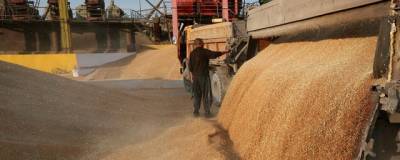 Россия вскоре станет мировым лидером по импорту зерна