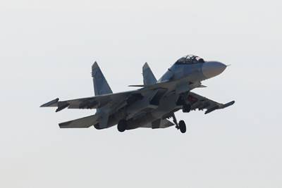 Восстановлена картина случайной атаки Су-35 на Су-30 в Тверской области