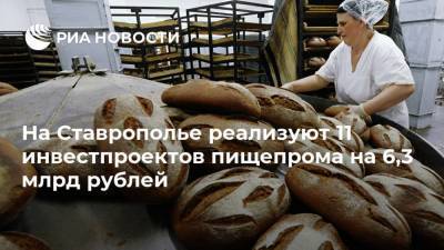 На Ставрополье реализуют 11 инвестпроектов пищепрома на 6,3 млрд рублей