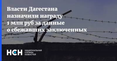 Власти Дагестана назначили награду 1 млн руб за данные о сбежавших заключенных