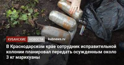 В Краснодарском крае сотрудник исправительной колонии планировал передать осужденным около 3 кг марихуаны