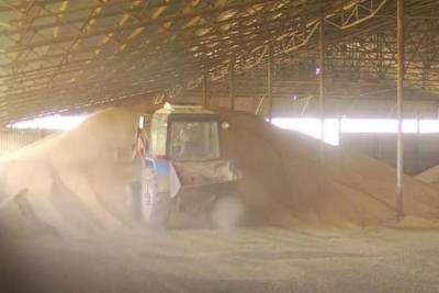 Bloomberg: Россия увеличивает свою долю на мировом рынке пшеницы