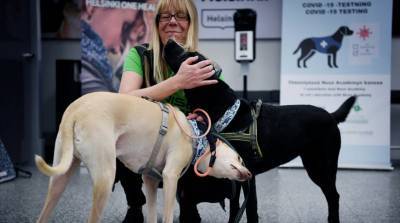 В главном аэропорту Финляндии пассажиров проверяют на наличие коронавируса с помощью собак