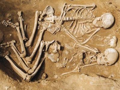 В Германии нашли гробницу возрастом полторы тысячи лет - rosbalt.ru - Германия - земля Саксония-Анхальт