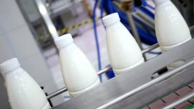 Производство молока за 7 месяцев 2020 года — статистика ЕАЭС