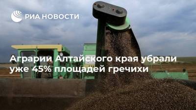 Аграрии Алтайского края убрали уже 45% площадей гречихи